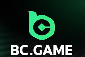 Discover the Excitement of BC Fun Casino Crypto